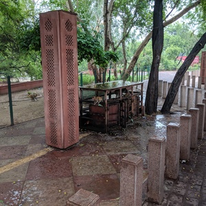 IMG_20190708_073918.jpg